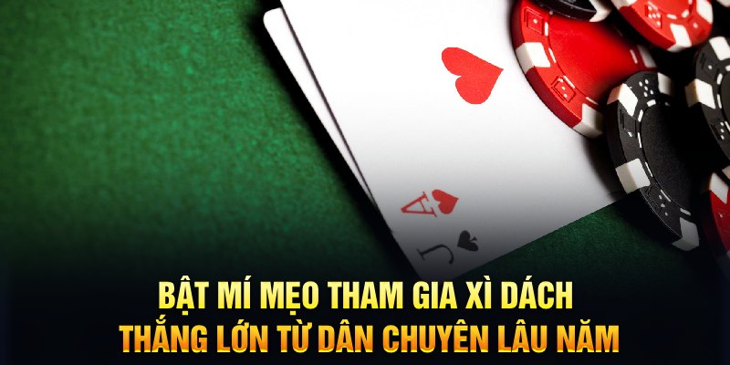 BlackJack - Game Bài Hấp Dẫn, Thú Vị Top 1 Thế Giới 2024 7 Bật mí mẹo tham gia Xì dách thắng lớn từ dân chuyên lâu năm