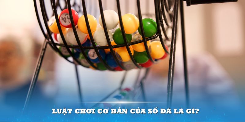 Số Đá Là Gì? Tổng Hợp Cách Chơi Của Số Đá Lô Đề Chắc Ăn 6 Luật chơi cơ bản của số đá là gì?